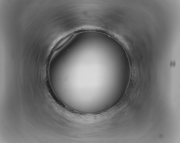 X0000091640015200709060947