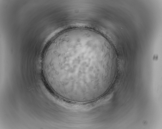 X0000091640016200709060947