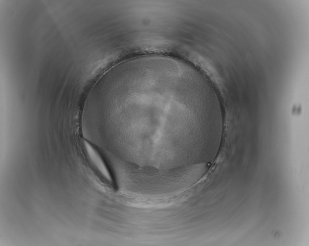 X0000091640017200709060947
