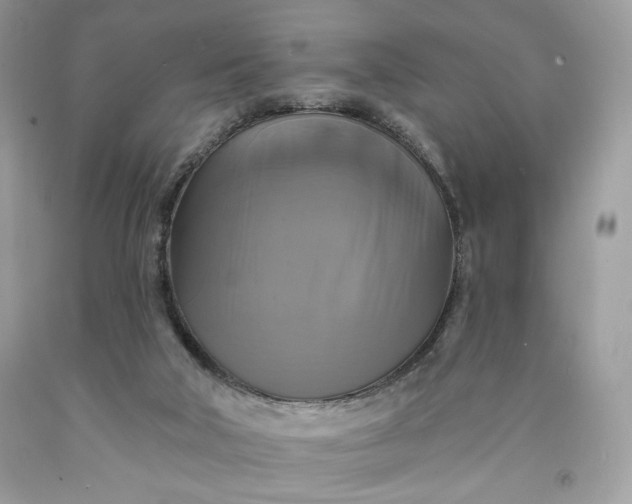 X0000091640018200709060947