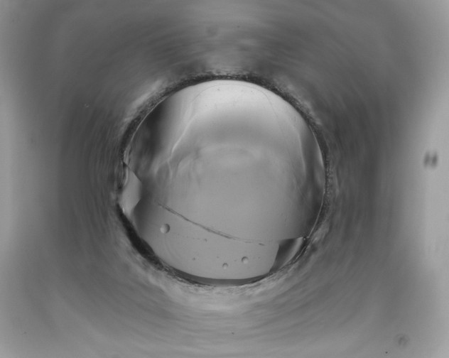 X0000091640019200709060947