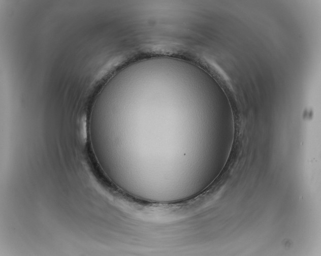 X0000091640020200709060947
