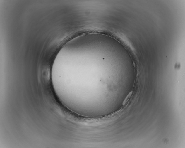 X0000091640021200709060947