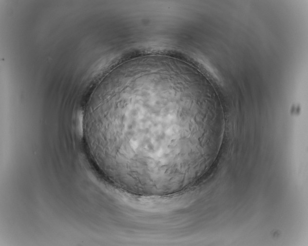 X0000091640022200709060947