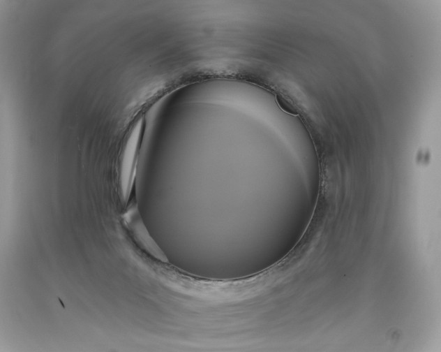 X0000091640023200709060947