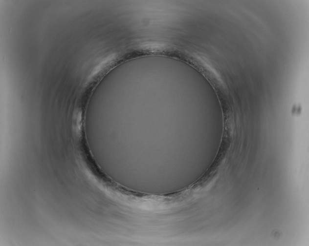 X0000091640024200709060947