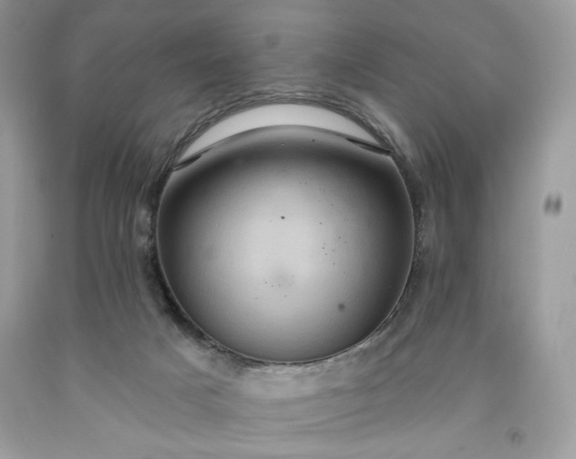 X0000091640025200709060947