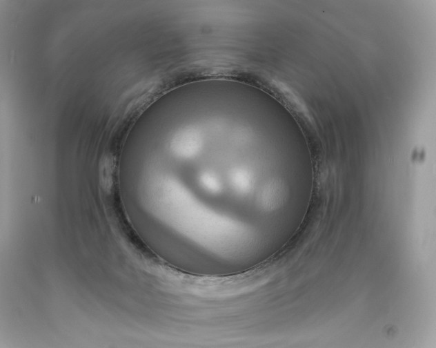 X0000091640026200709060947