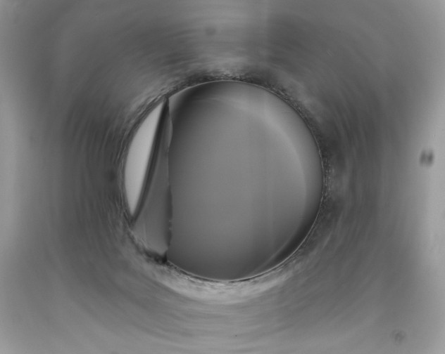 X0000091640027200709060947
