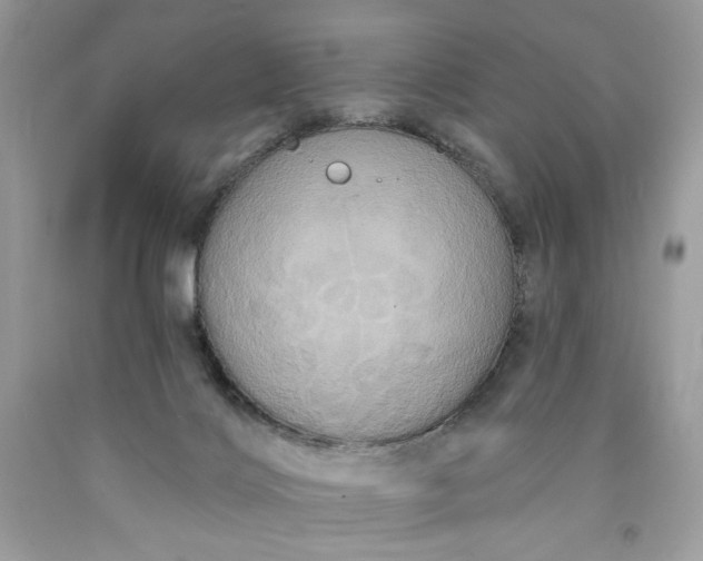 X0000091640028200709060947