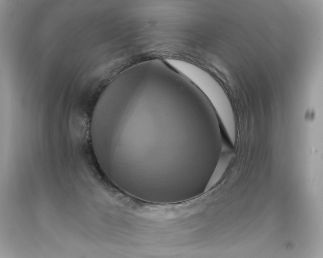 X0000091640029200709060947