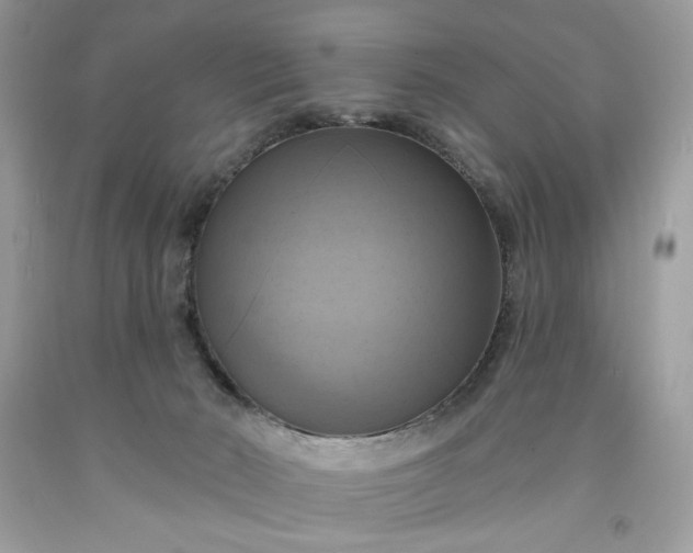 X0000091640030200709060947
