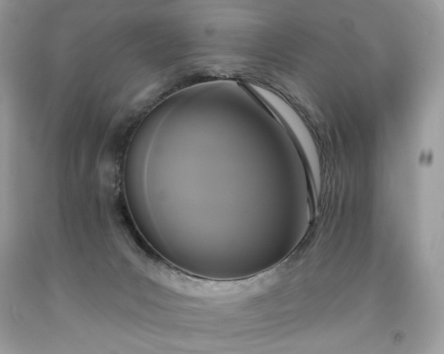 X0000091640031200709060947