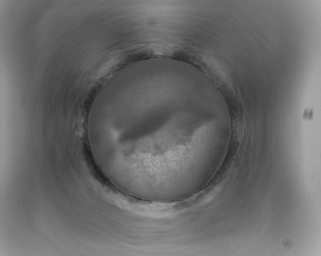 X0000091640032200709060947