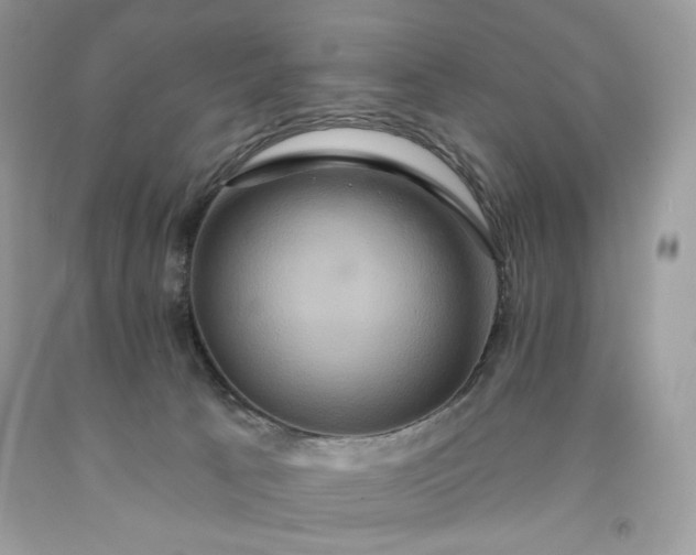 X0000091640033200709060947