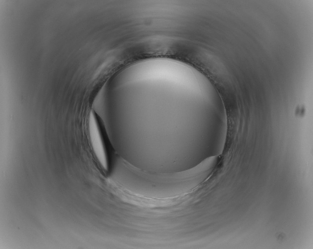 X0000091640035200709060947