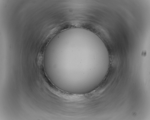X0000091640036200709060947