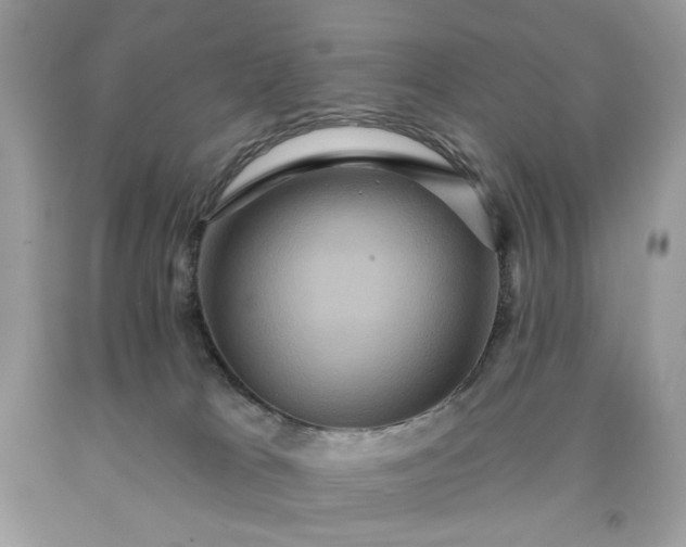 X0000091640037200709060947