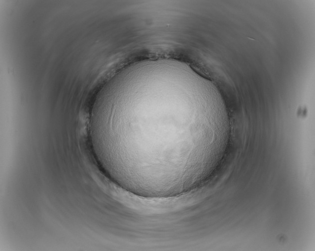 X0000091640038200709060947