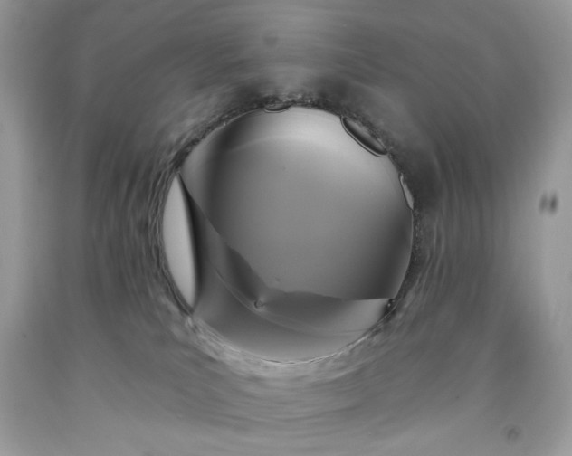 X0000091640039200709060947