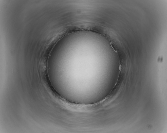 X0000091640040200709060947