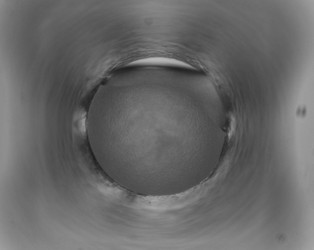 X0000091640041200709060947