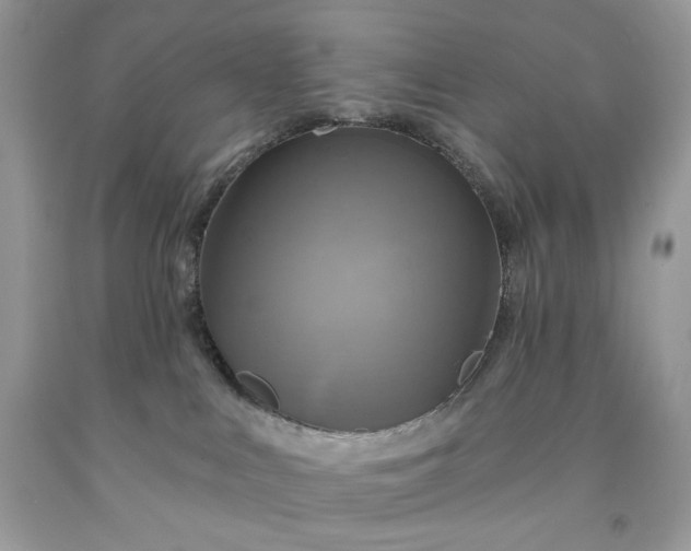 X0000091640043200709060947