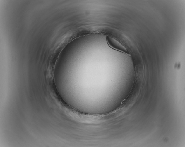 X0000091640044200709060947