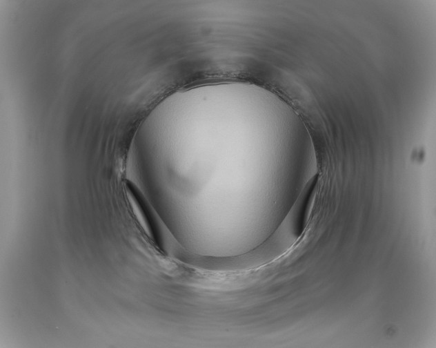 X0000091640045200709060947