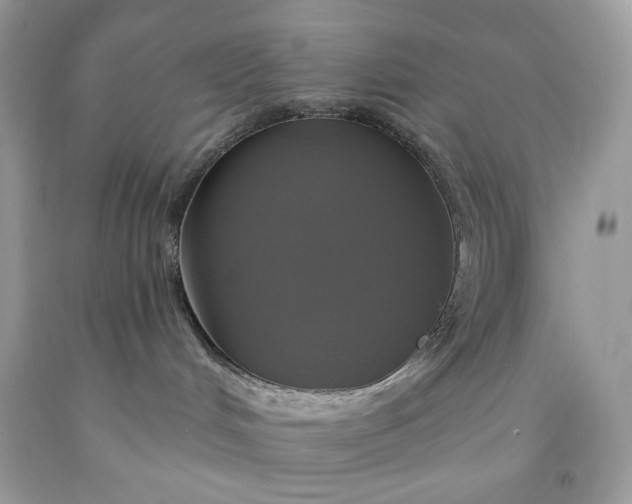 X0000091640048200709060947