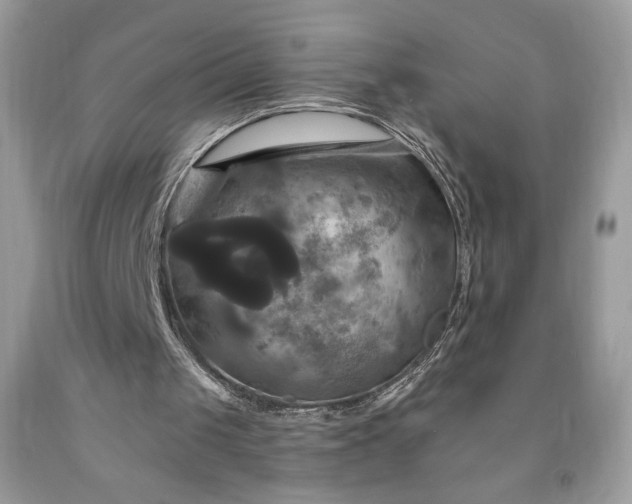 X0000091640049200709060946