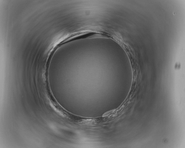 X0000091640050200709060946