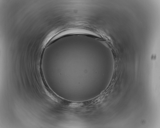 X0000091640051200709060946