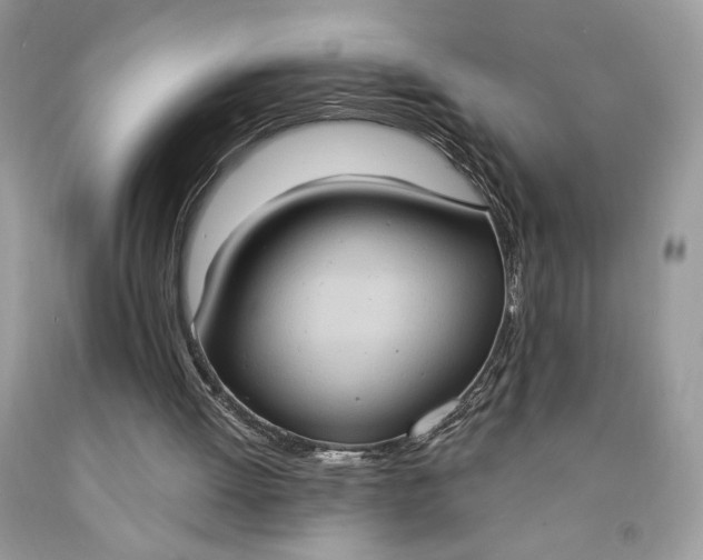 X0000091640052200709060946