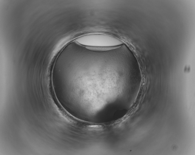 X0000091640053200709060946