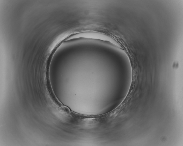 X0000091640054200709060946