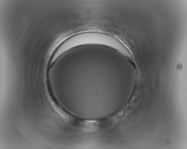 X0000091640055200709060946