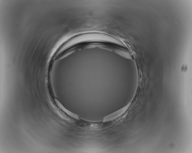 X0000091640056200709060946
