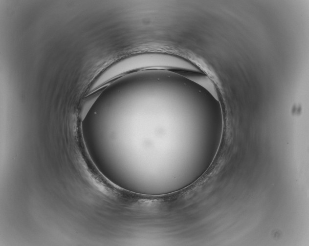 X0000091640057200709060946