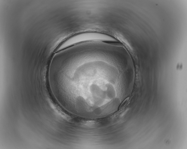X0000091640058200709060946
