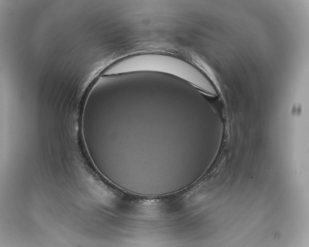 X0000091640059200709060946