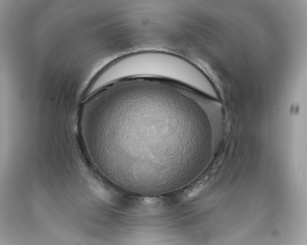X0000091640060200709060946