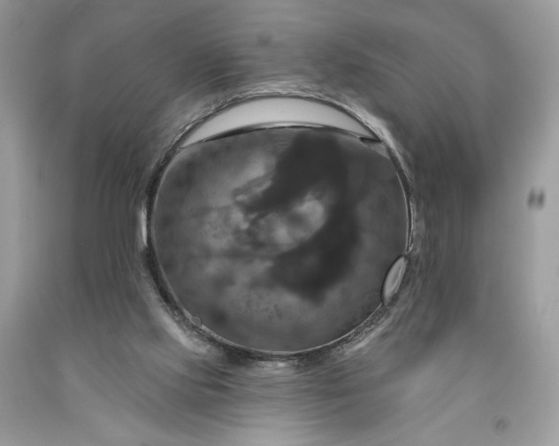 X0000091640061200709060946