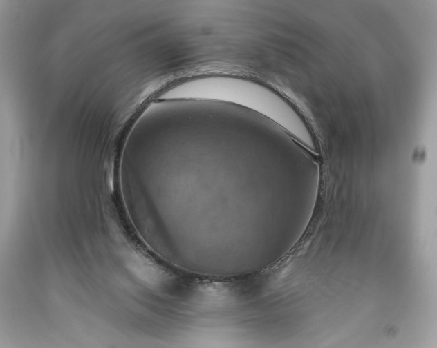 X0000091640062200709060946
