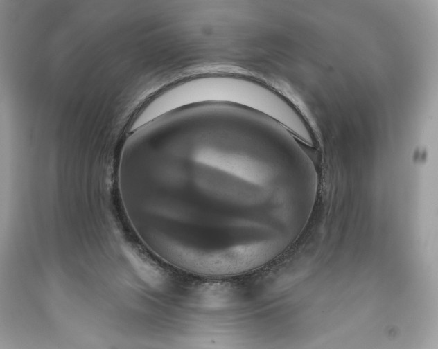 X0000091640063200709060946