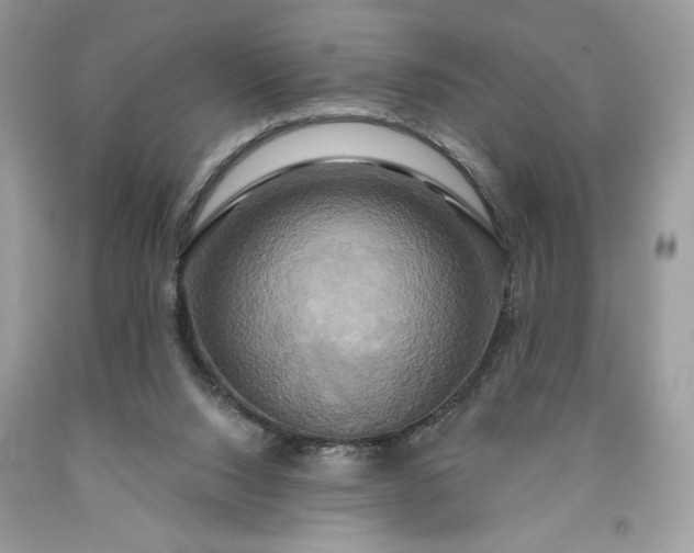 X0000091640064200709060946