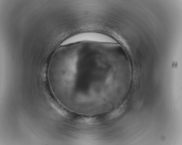 X0000091640065200709060946