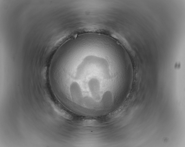 X0000091640066200709060946