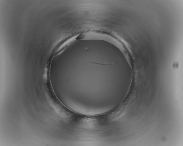 X0000091640067200709060946