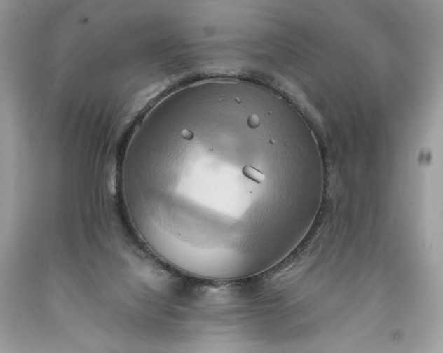 X0000091640068200709060946